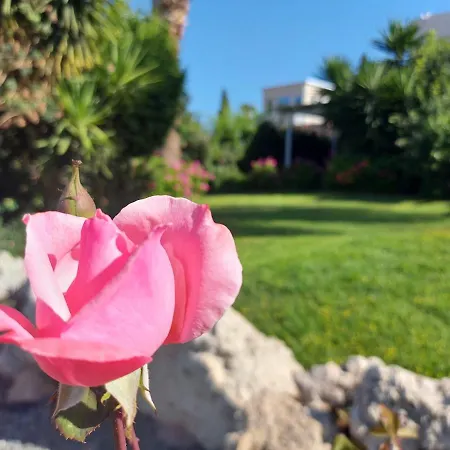 Cyprus *