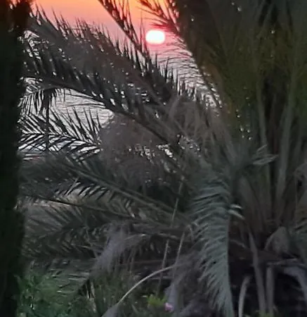 Daire Cyprus Mercan Koyu